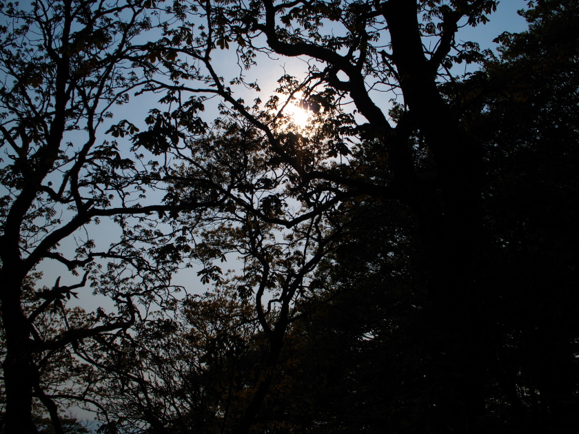 d0152981_14117.jpg