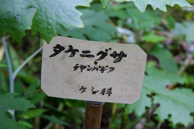 f0140087_09451.jpg