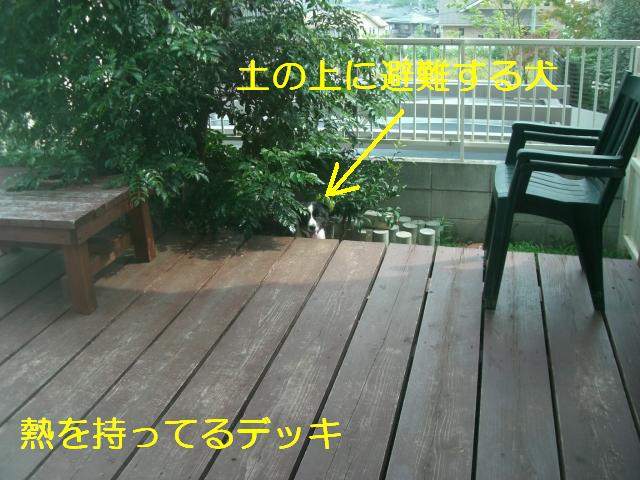 b0137913_2335476.jpg