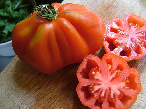 夏野菜 すごいのよォ イタリアは いっぱいあってね 夏野菜 すごいのよォ イタリアは いっぱいあってね