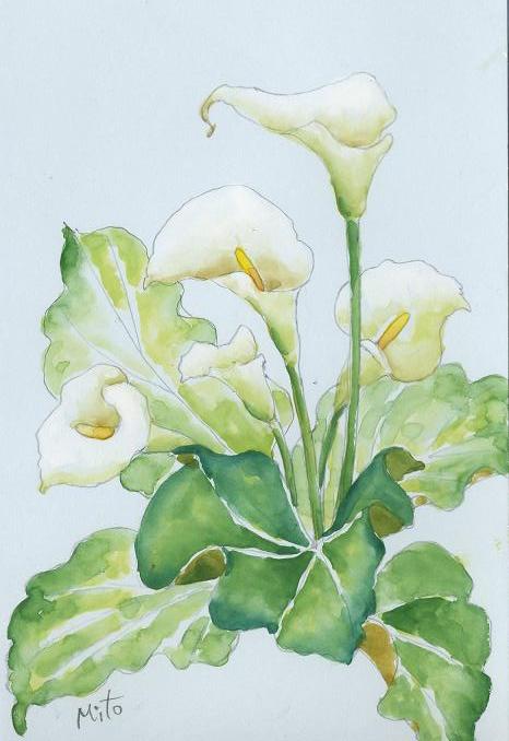水彩画 花（オレンジの花 (水彩画、グラファイト、織り紙)）
