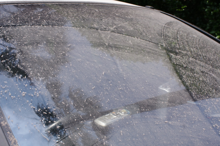 観天望気—Weather lore _b0060239_223943.jpg