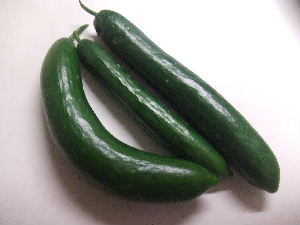 a0054240_22155145.jpg