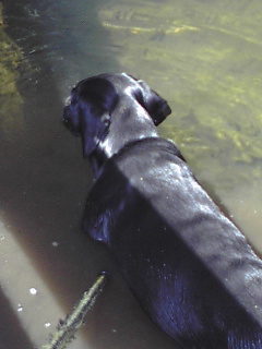 c0075641_9423578.jpg