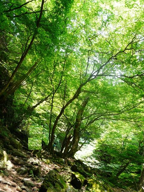 d0020443_883231.jpg