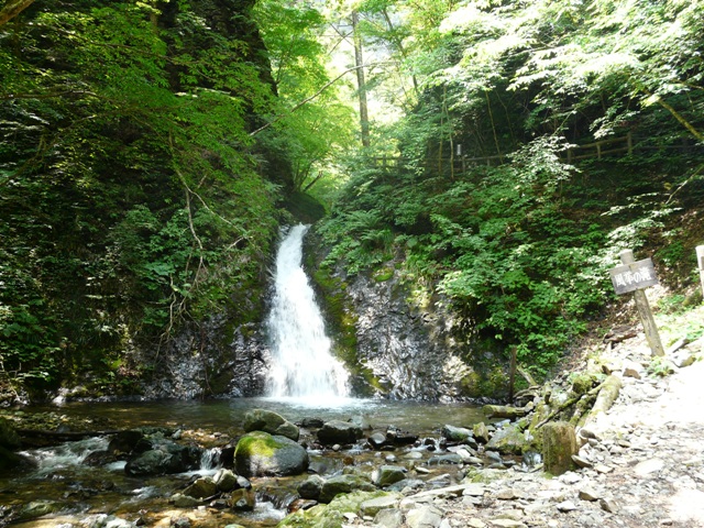 d0020443_884062.jpg