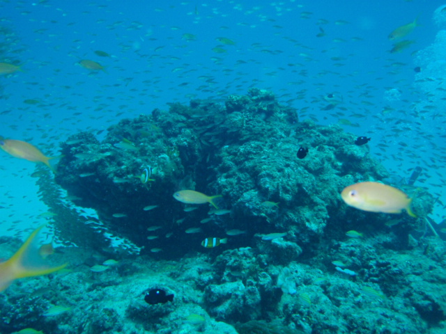 c0142045_918324.jpg