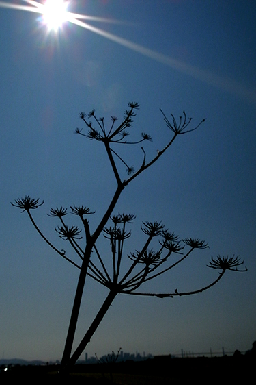 99F!_d0124248_8511180.jpg