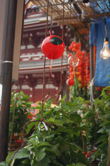 a0040251_10173615.jpg
