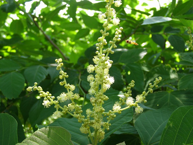 a0018655_16372390.jpg