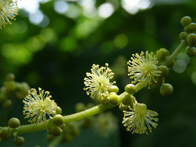 a0018655_16391141.jpg