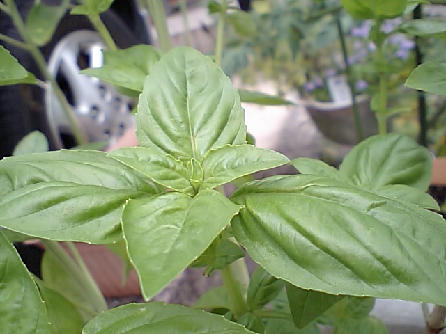 d0125059_8362798.jpg