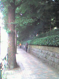 f0072976_15335890.jpg