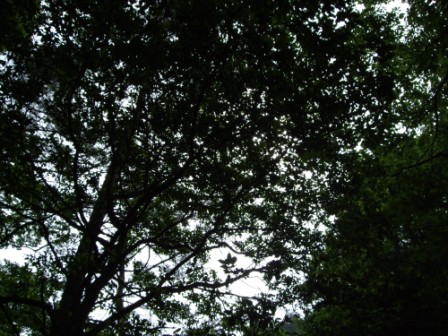 瑠璃渓_e0138081_19162850.jpg