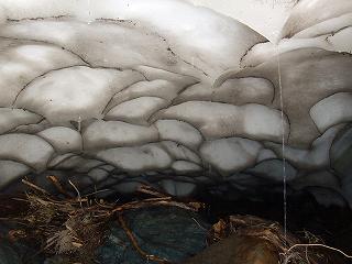八海山水無渓谷現地視察_f0019487_7374847.jpg
