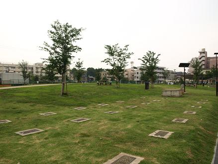 f0109601_73596.jpg