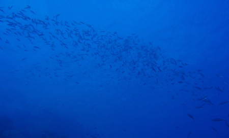 e0013405_13582990.jpg