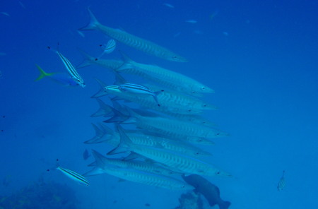 e0013405_13591568.jpg