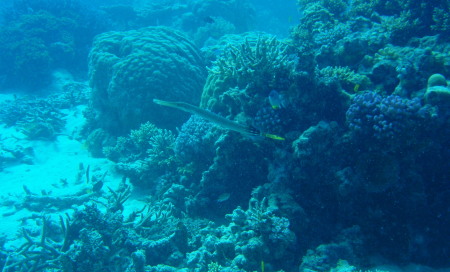 e0013405_1402563.jpg