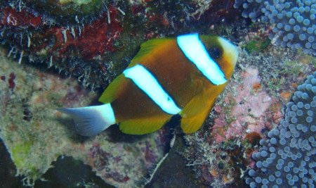 e0013405_1405518.jpg
