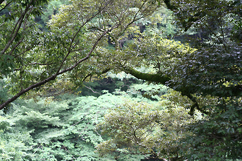 d0063314_21384263.jpg