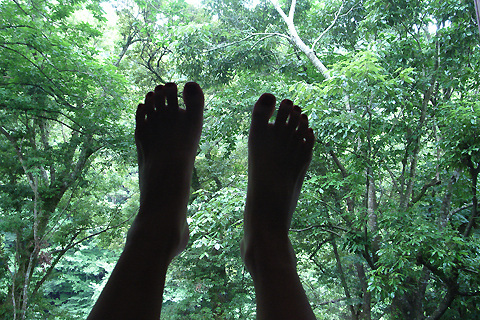 d0063314_21403045.jpg