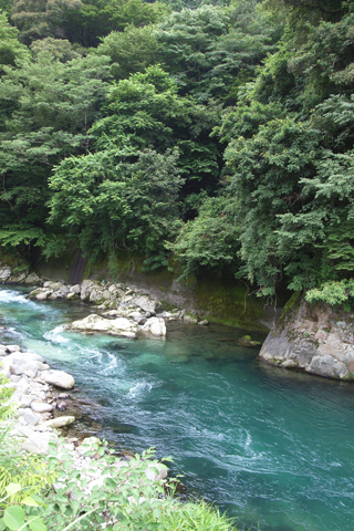d0063314_21481033.jpg
