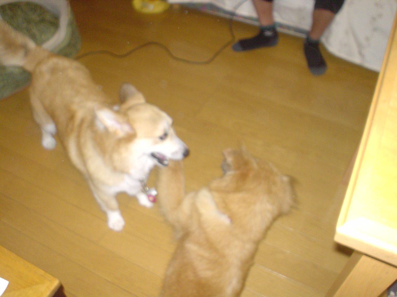 c0150520_12583464.jpg