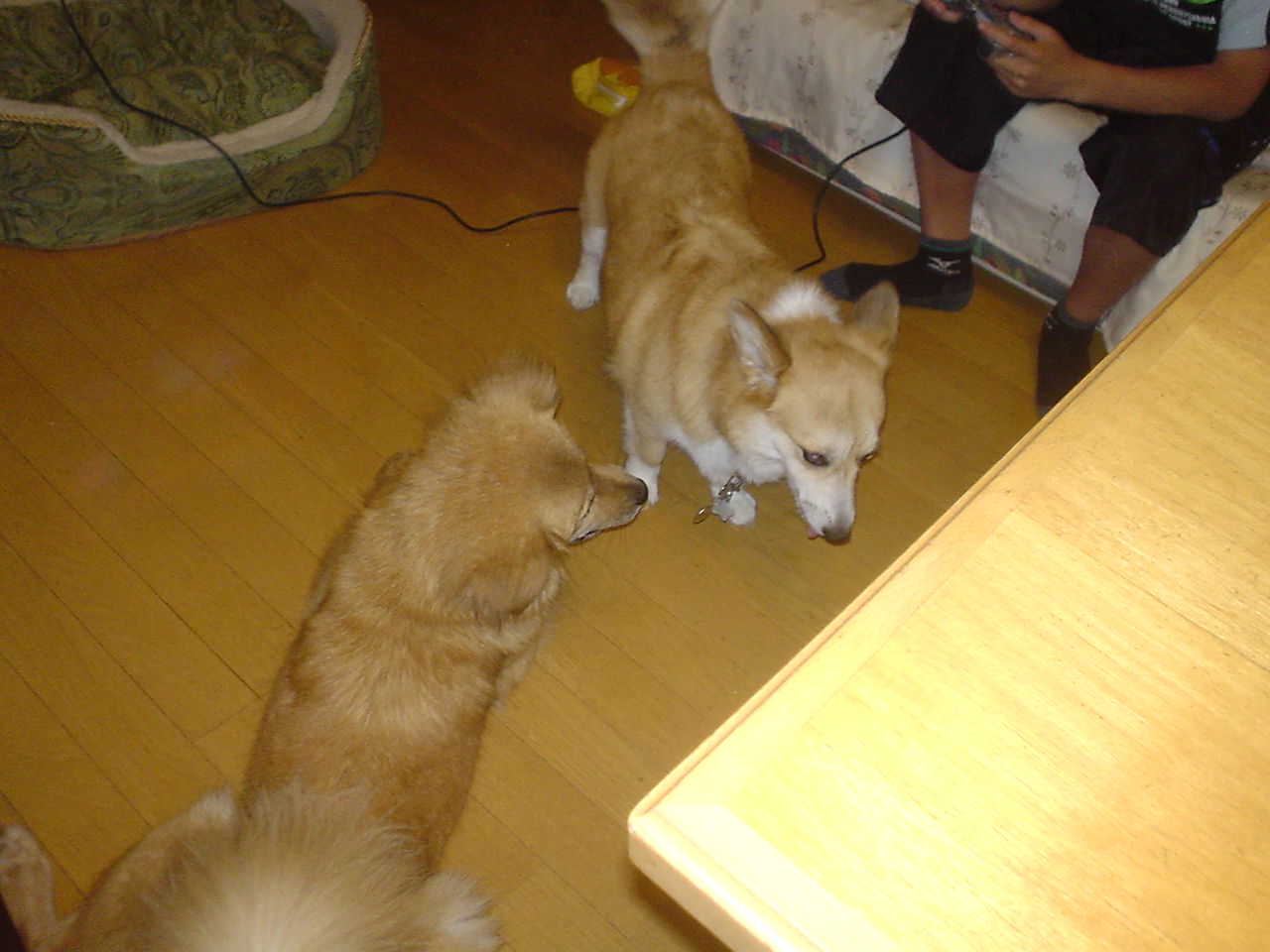 c0150520_13162586.jpg