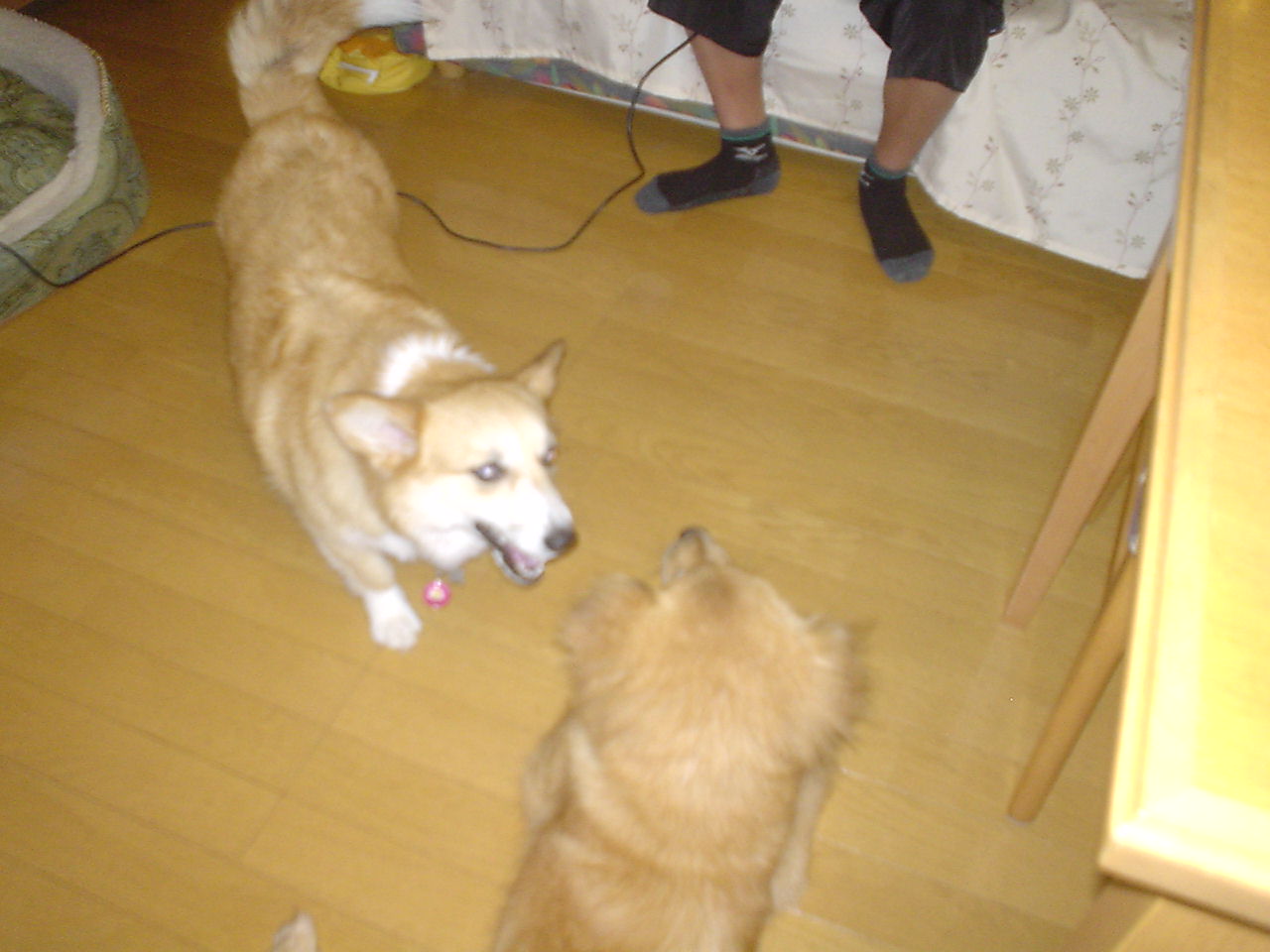 c0150520_13164131.jpg