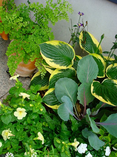 f0170524_13504916.jpg