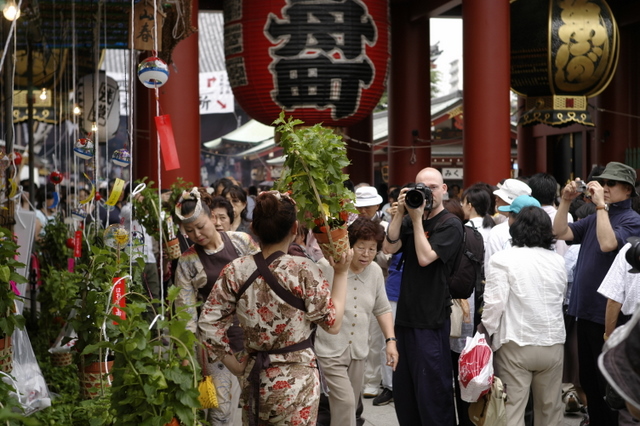 花の名前　－ノウゼンカズラ(４)－_f0073935_7184225.jpg