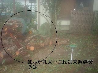 f0031037_18474794.jpg