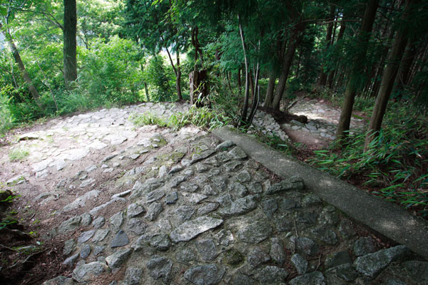 d0110849_17412774.jpg