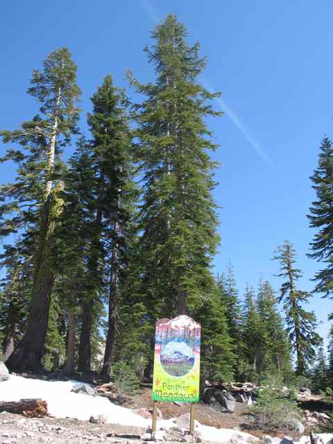 e0076349_1759923.jpg