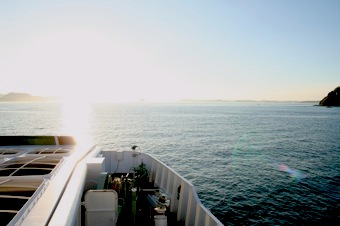 b0025850_0102180.jpg