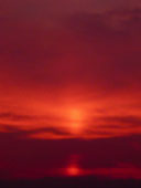 d0029958_19285365.jpg