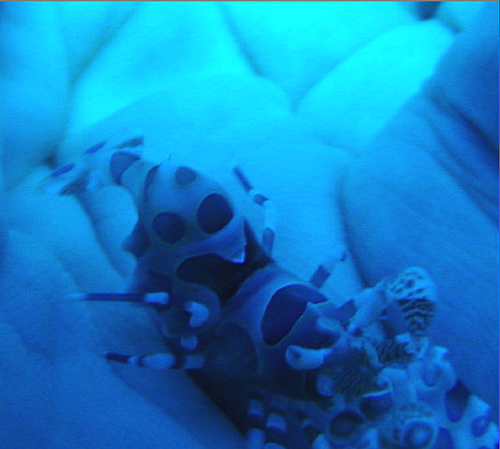 7/10 ダウンカレントに抱かれまくり_d0113459_20403887.jpg