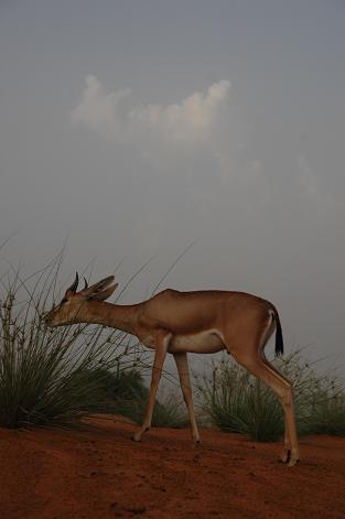 e0066474_6729.jpg