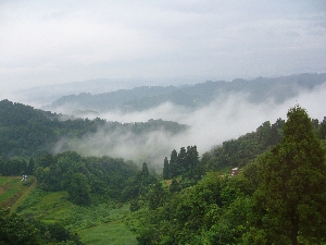 c0153477_9101516.jpg