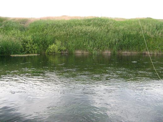 f0137499_1430150.jpg