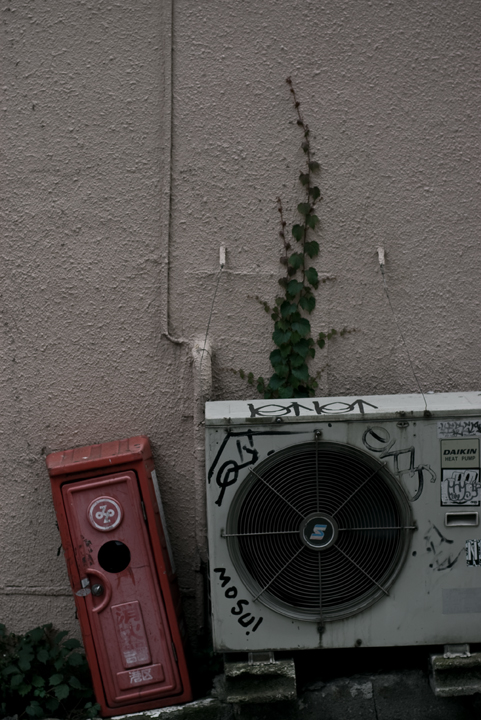 c0120903_101339.jpg