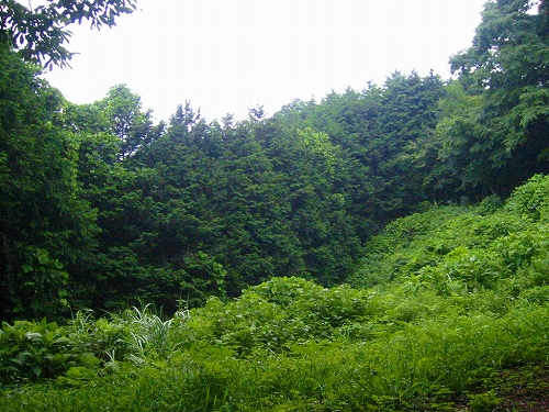居酒屋「マウンテン」_a0036808_18273945.jpg