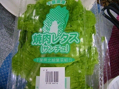 居酒屋「マウンテン」_a0036808_183042100.jpg