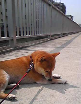 f0004309_17403821.jpg