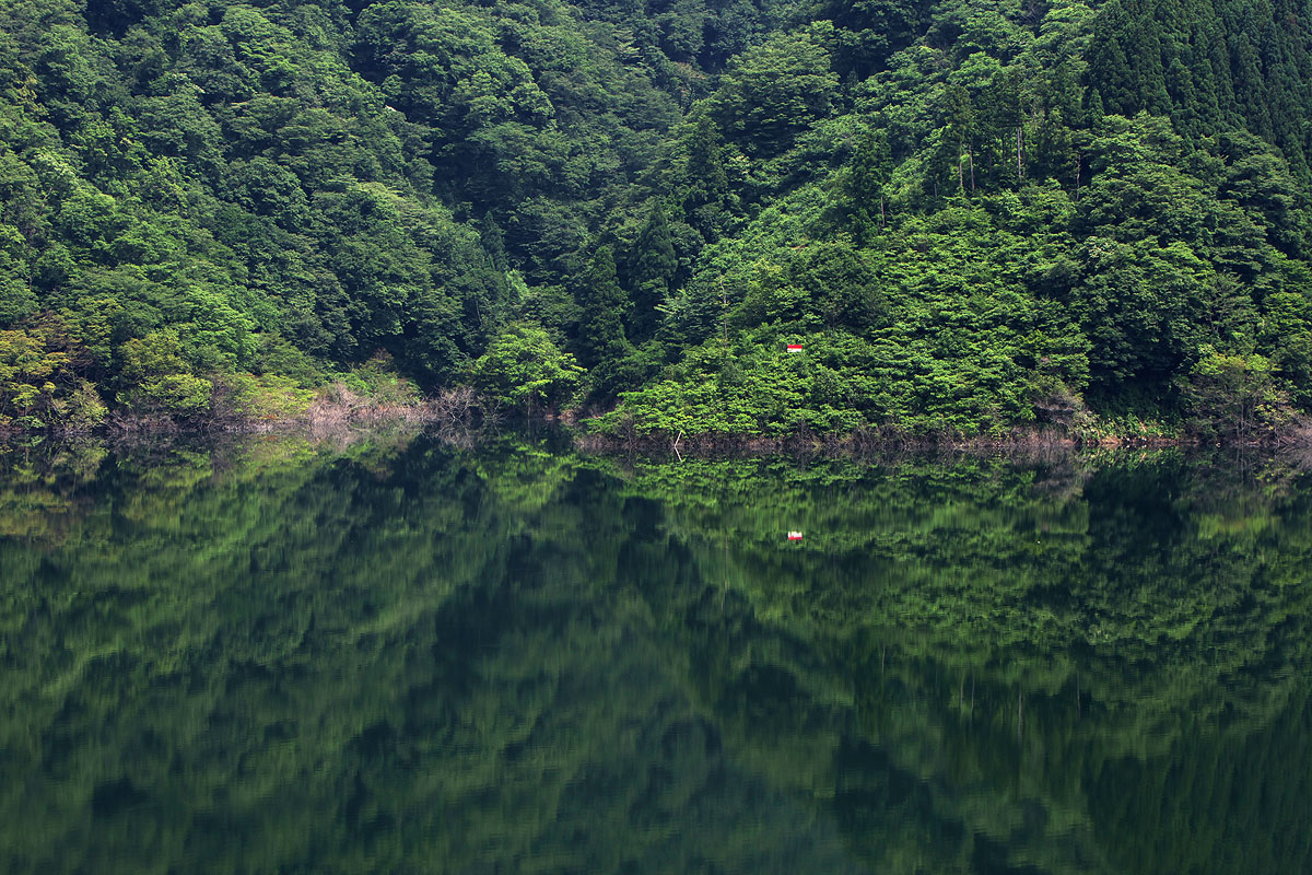 c0115616_5171751.jpg