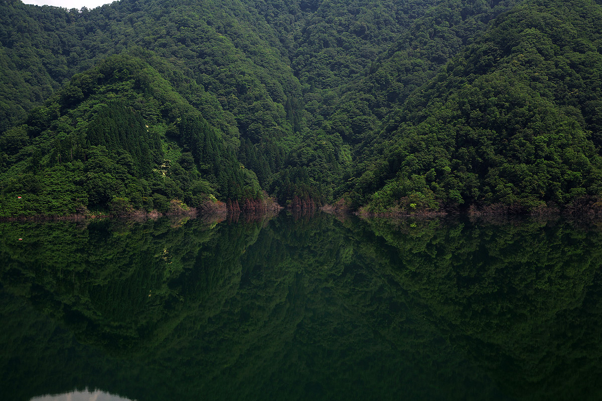 c0115616_5173465.jpg