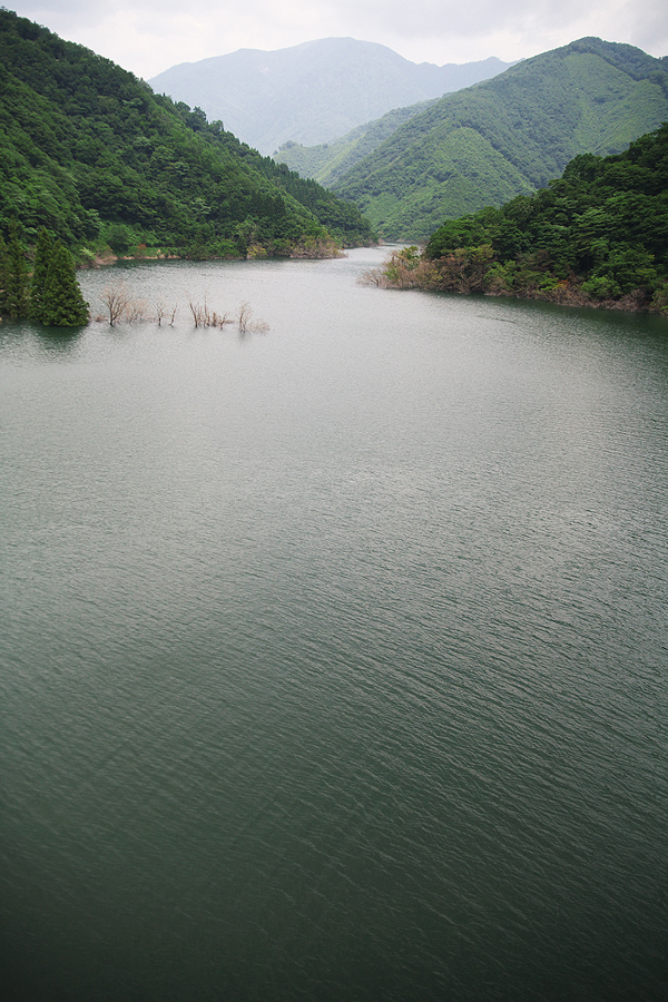 c0115616_5175250.jpg