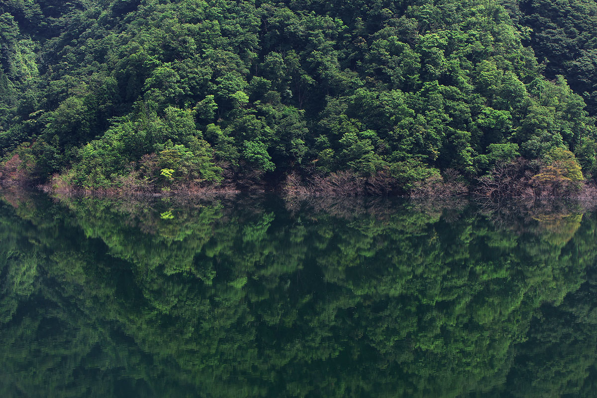 c0115616_517759.jpg