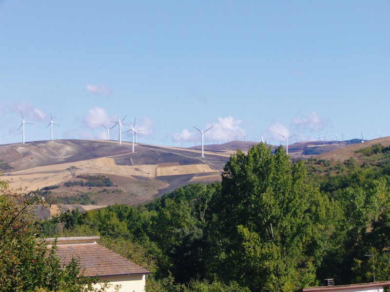 c0159117_12175059.jpg